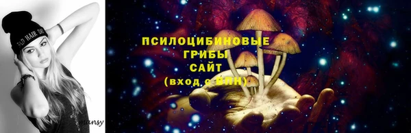 PSILOCYBIN Абаза