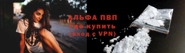 прущие грибы Приозерск