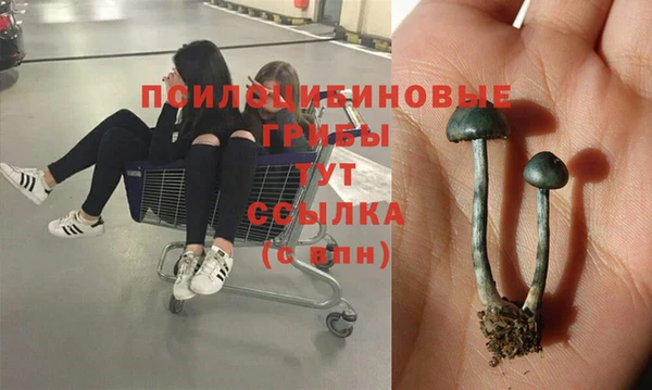 COCAINE Алзамай