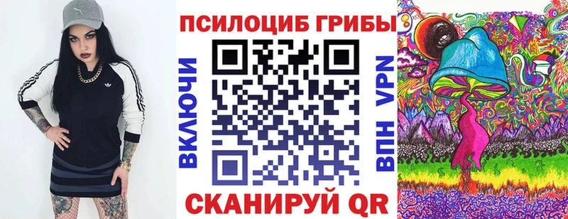 гидра ссылка  купить наркотики сайты  Петушки  Псилоцибиновые грибы Psilocybe 